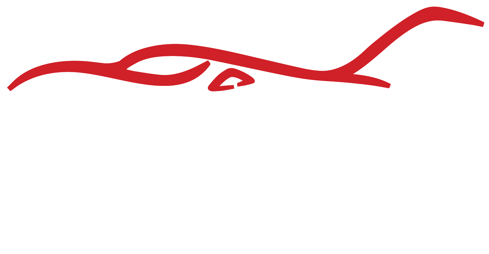 Thrust Flight Academy